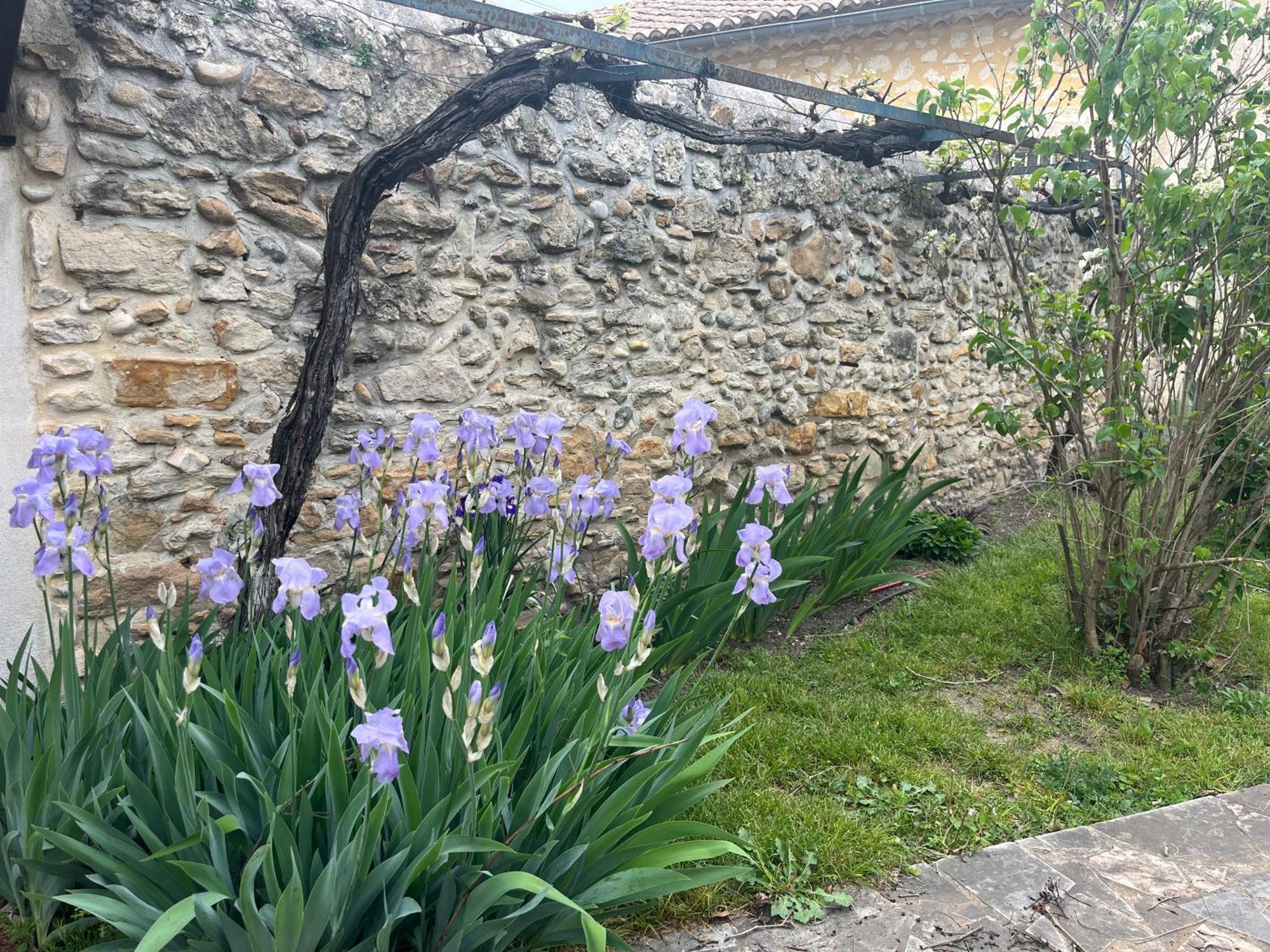 Maison En Provence Lapalud Eksteriør bilde